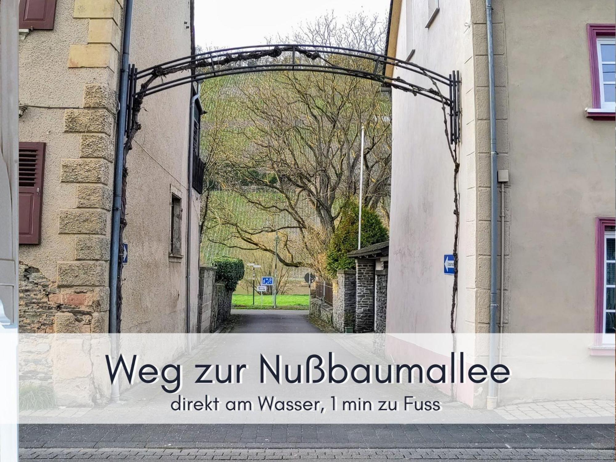 Komfort Fewo L Moselstay L Maximal 4 Personen Und Baby I Brauneberg Mosel I Wifi I Exterior foto