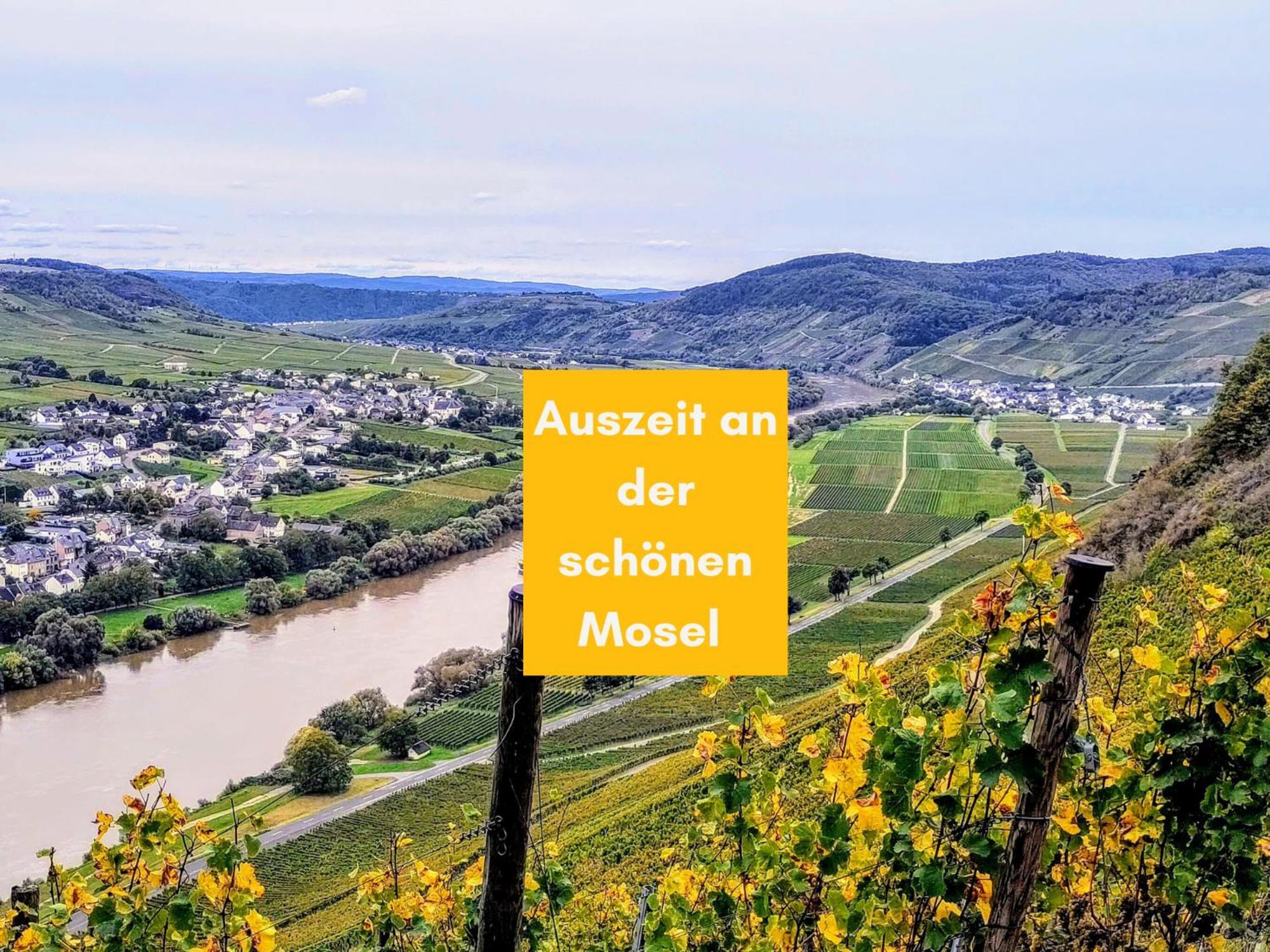 Komfort Fewo L Moselstay L Maximal 4 Personen Und Baby I Brauneberg Mosel I Wifi I Exterior foto