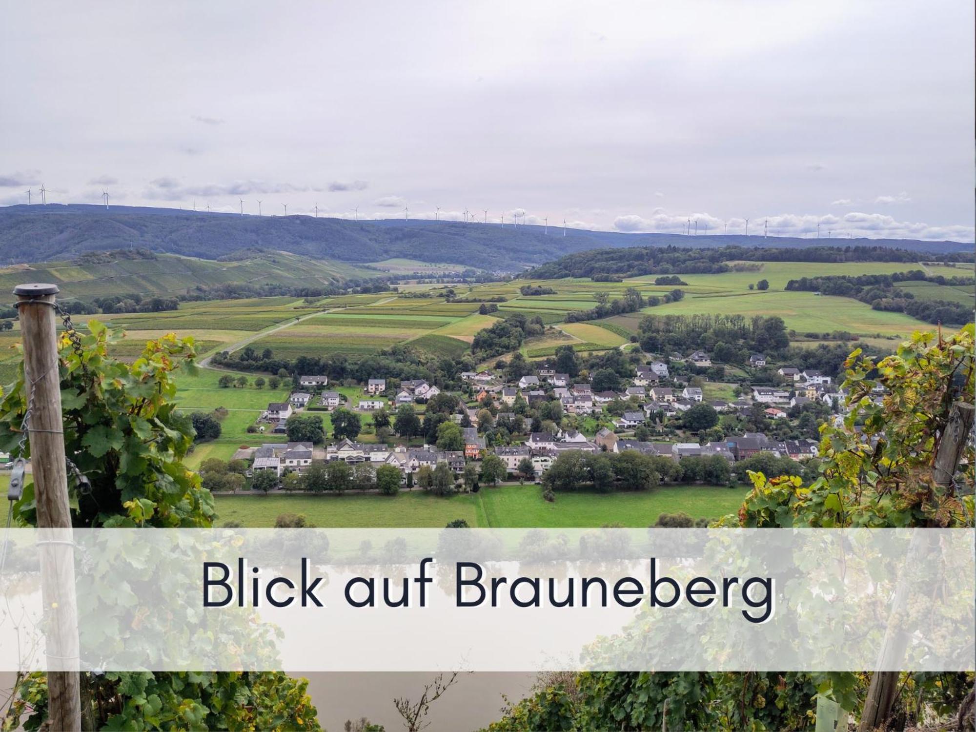 Komfort Fewo L Moselstay L Maximal 4 Personen Und Baby I Brauneberg Mosel I Wifi I Exterior foto