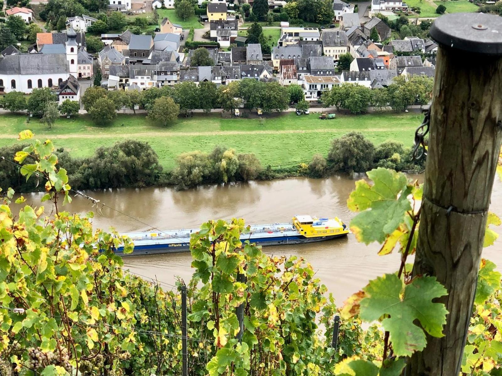 Komfort Fewo L Moselstay L Maximal 4 Personen Und Baby I Brauneberg Mosel I Wifi I Exterior foto